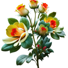 Vibrant Orange and Yellow Roses on Dark Background