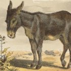 Bridled donkey in desert landscape with sparse vegetation