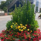 Colorful Flower Garden Next to White Stucco Wall