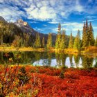 Colorful Autumn Landscape with Lake, Mountains, and Pine Trees