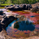 Tranquil river scene with clear water, brown pebbles, moss-covered boulders,