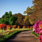 Vibrant pink flowers lining picturesque garden path