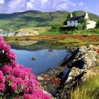 Tranquil lakeside landscape with white house, colorful flowers, green hills