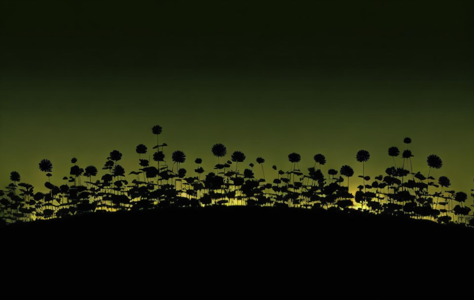 Silhouetted flowers on dark green to yellow gradient background