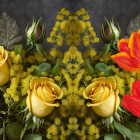 Colorful Bouquet of Yellow Roses and Red-Yellow Tulips on Dark Background