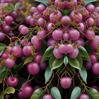 Clustered ripe purple cherries on branches with green leaves and blossoms.