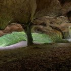 Cave with River Flowing into Green Forest