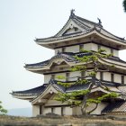 Ornate Traditional Japanese Pagoda in Serene Garden Setting