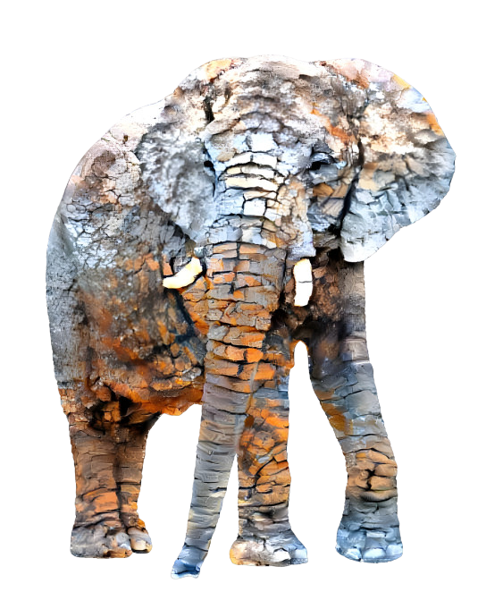 Dehydrated Elephant