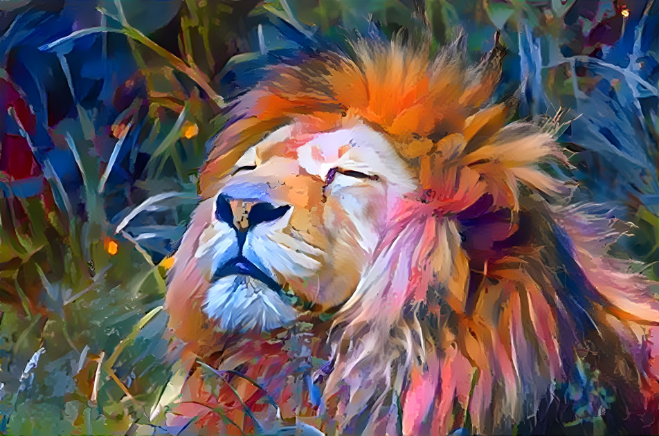 lion