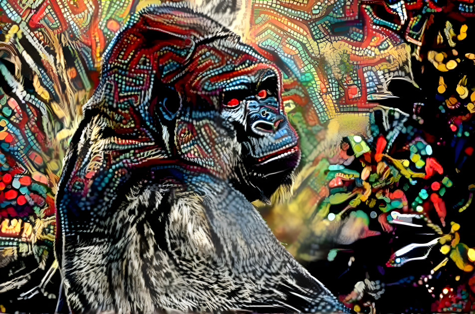 gorilla