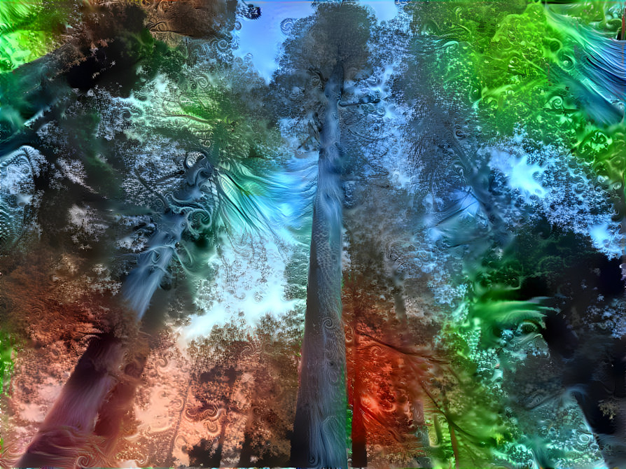 Redwoods - Fractalized