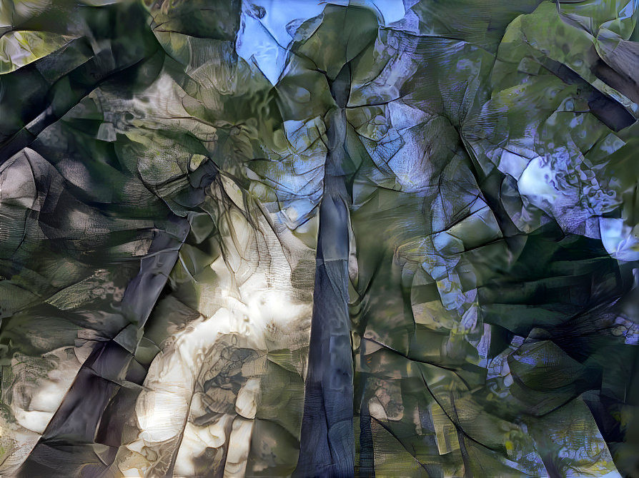 Redwoods - Fractured Glass