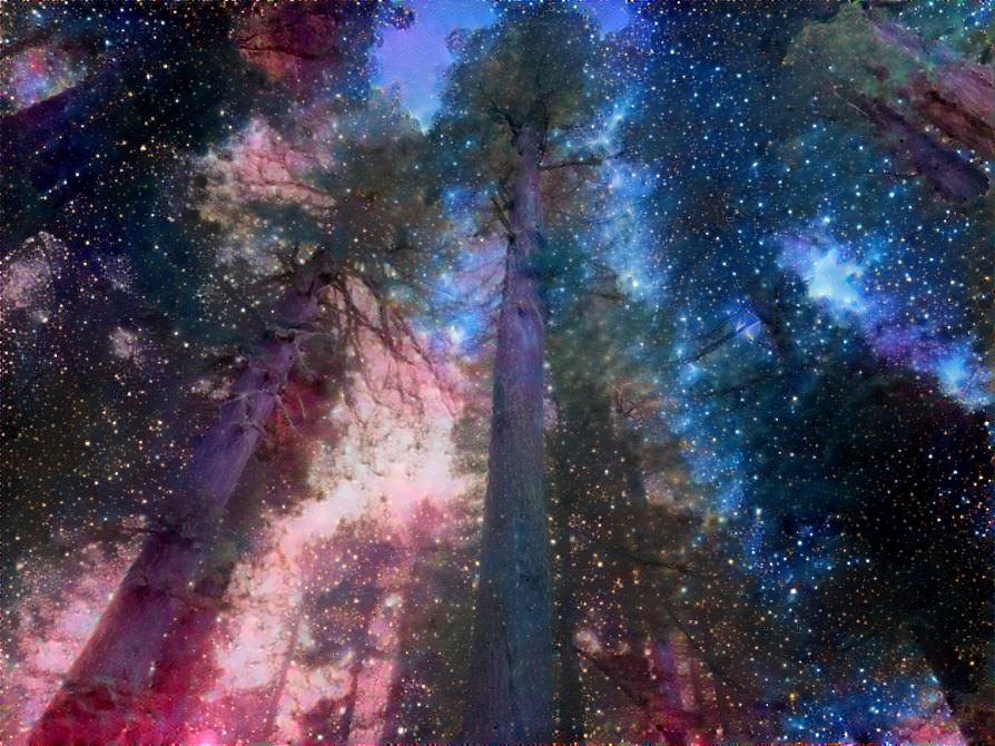 Redwood Galaxies