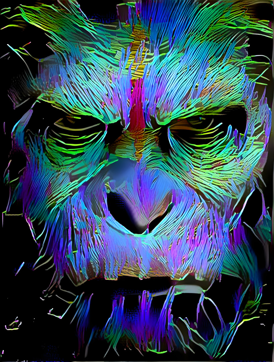 Ape