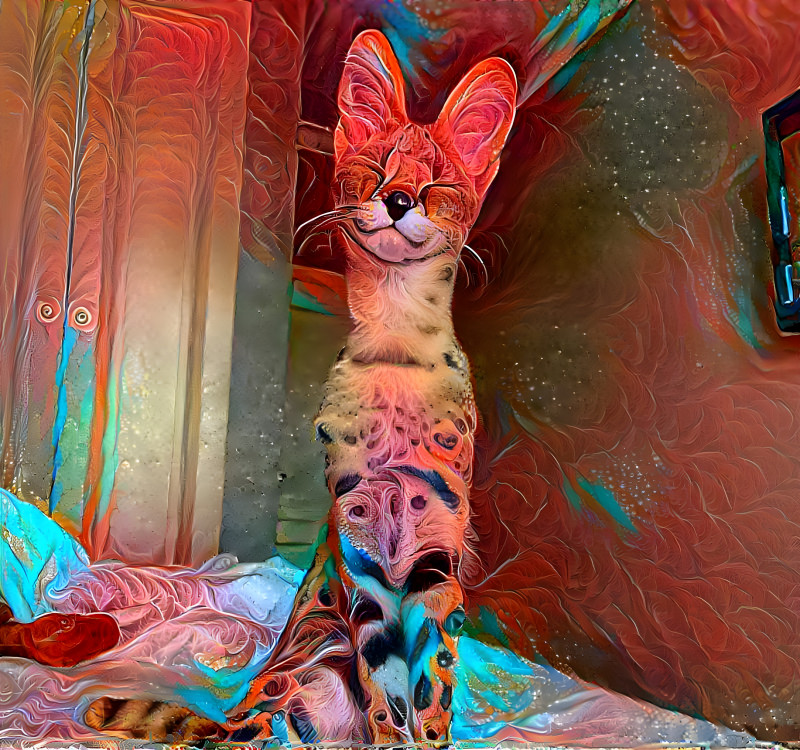 Spirit Serval