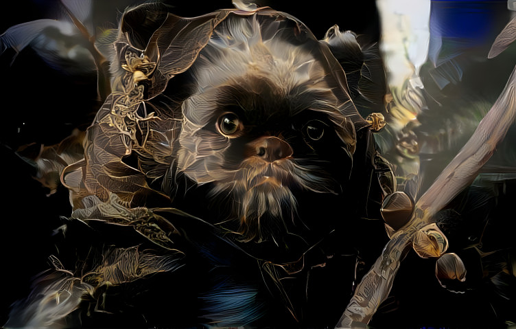 Ewok II