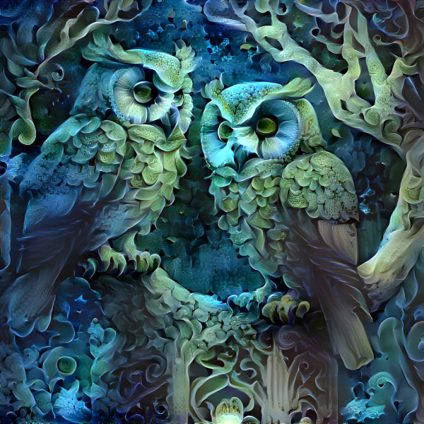 Awakening The Owls