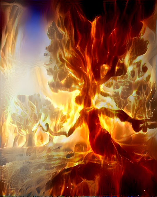 Praying Tree Burning