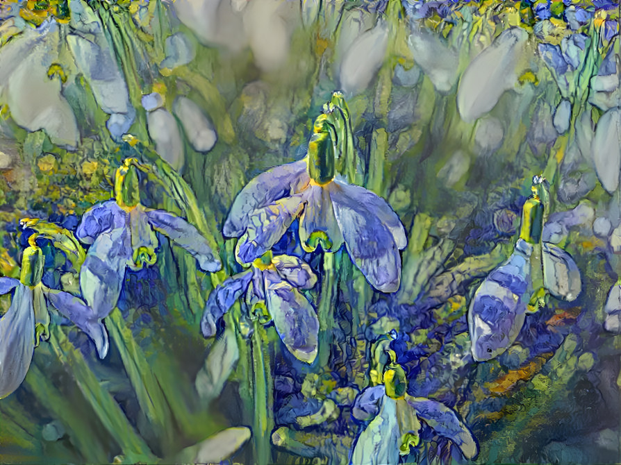 Indigo of galanthus