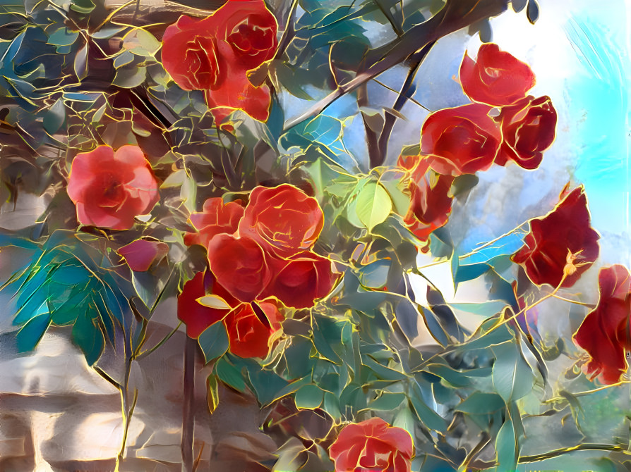 Flowers from Leon, Spain.