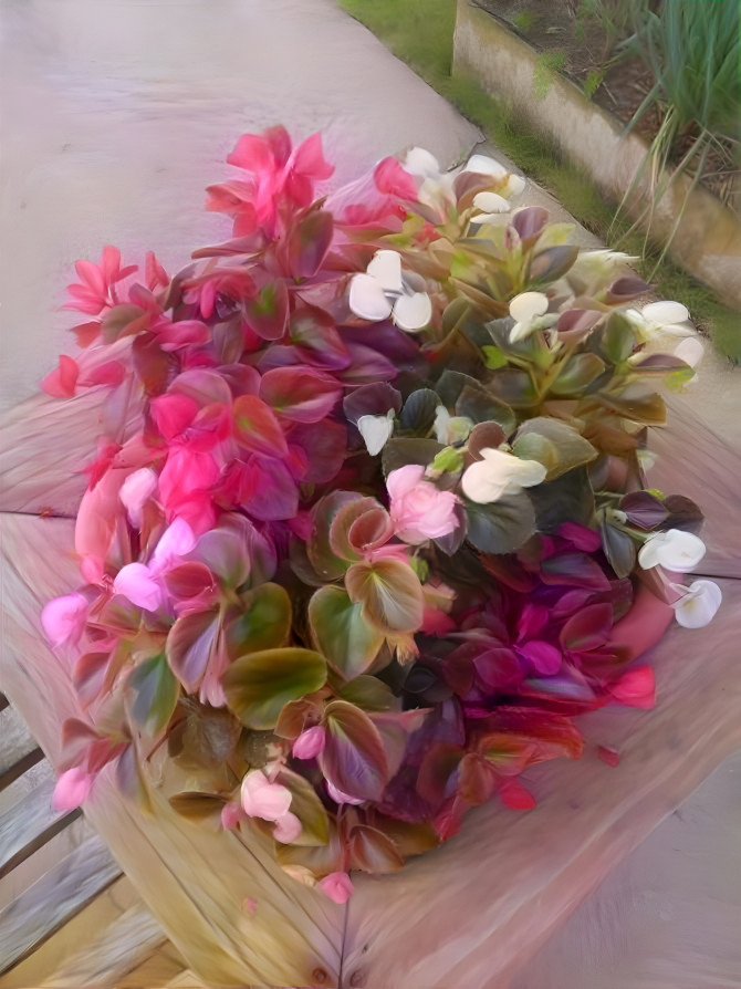 A Bouquet of Flower, Brazil.