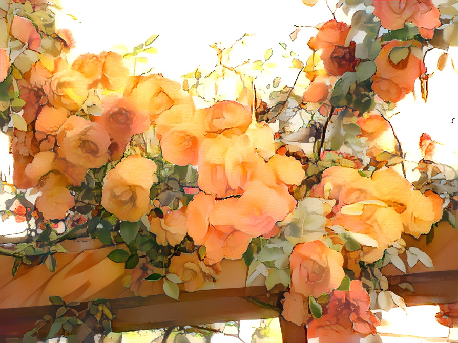 Flowers from Leon, Spain.