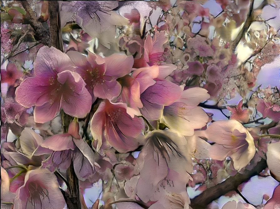 Flowers of Unicentro, Guarapuava-PR, Brazil.