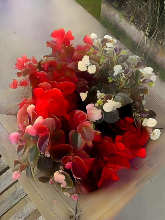 Bouquet of flowers, Brazil.