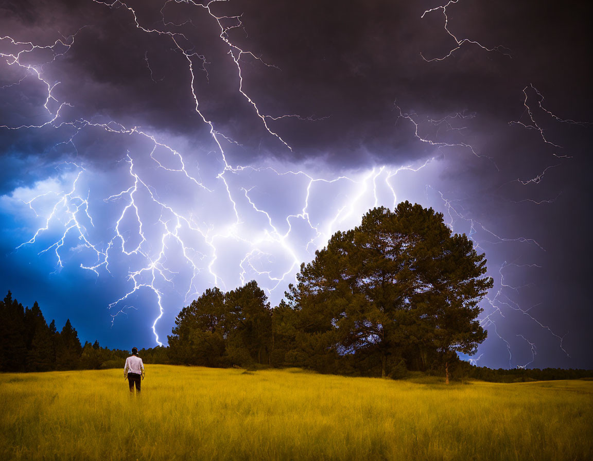 Person observing lightning strikes in stormy sky above trees