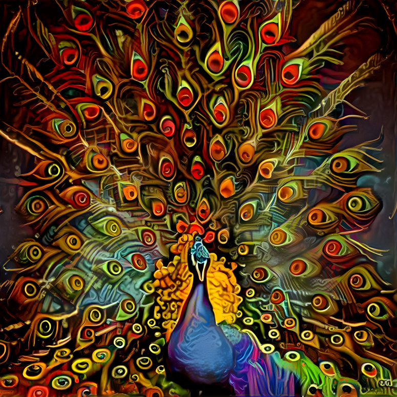 peacock