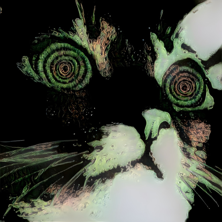 Crazy Cat Avatar 