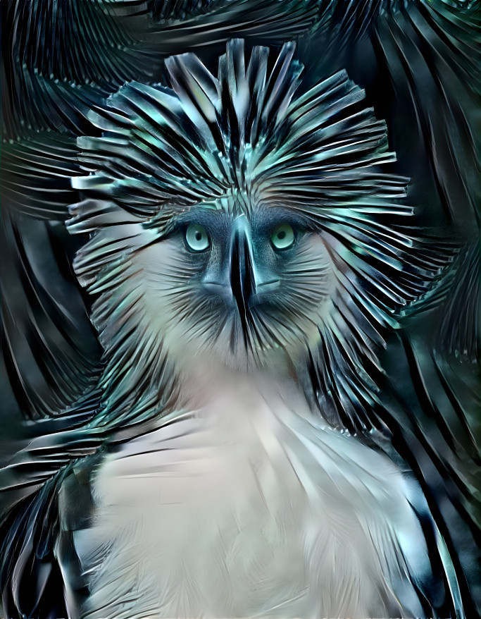 Philippine Eagle