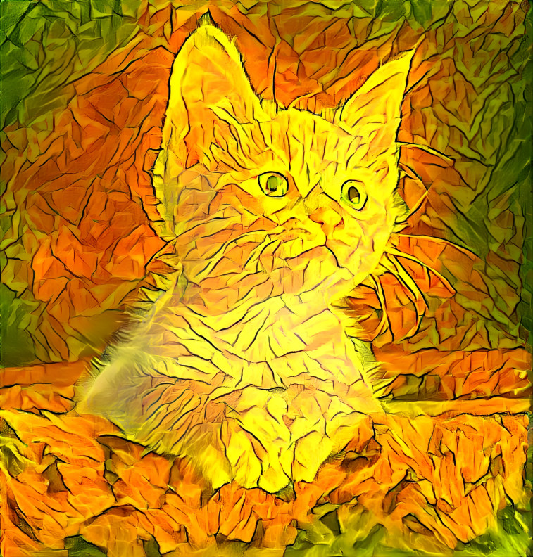 Flaming Cat