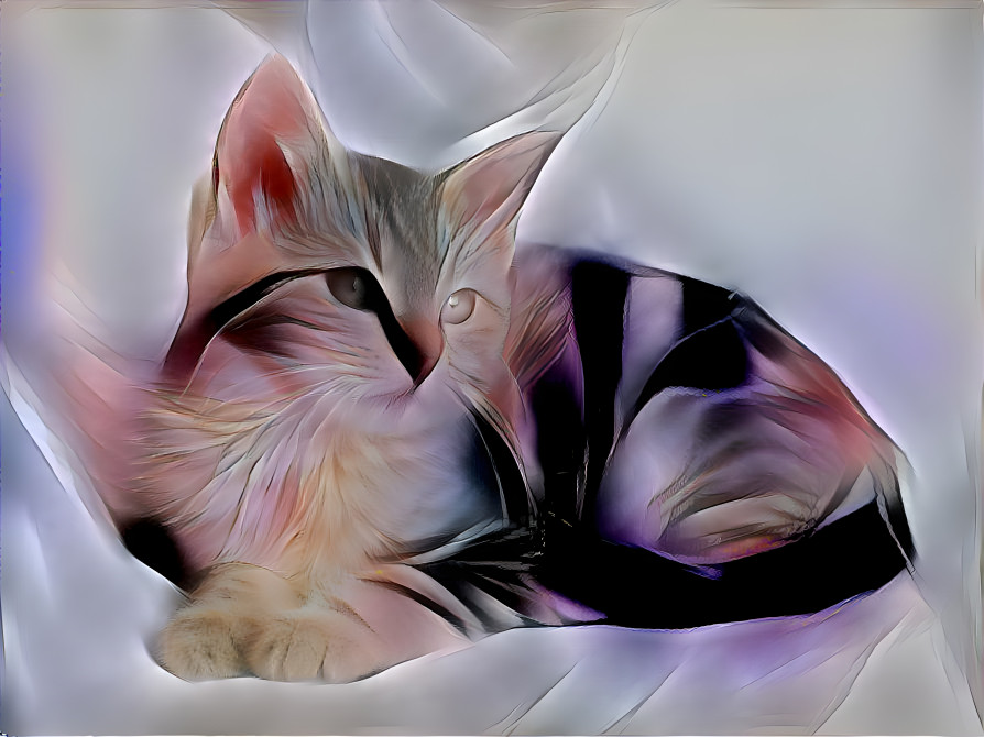 Cat Dreams - 2