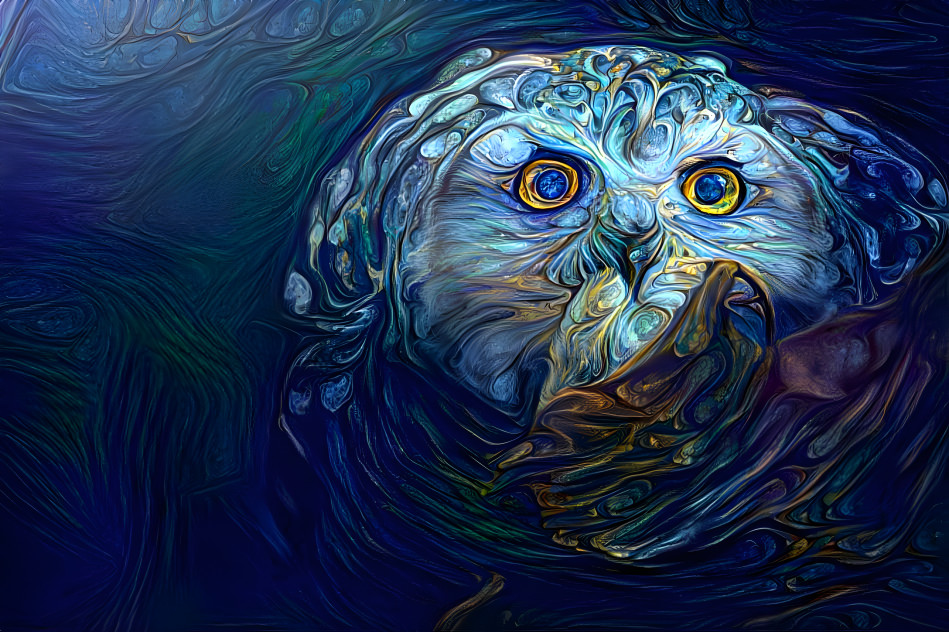 owl