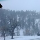 Snow-covered hills, evergreen trees, wooden cabins in winter landscape