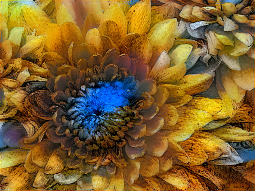 windows 7 flower