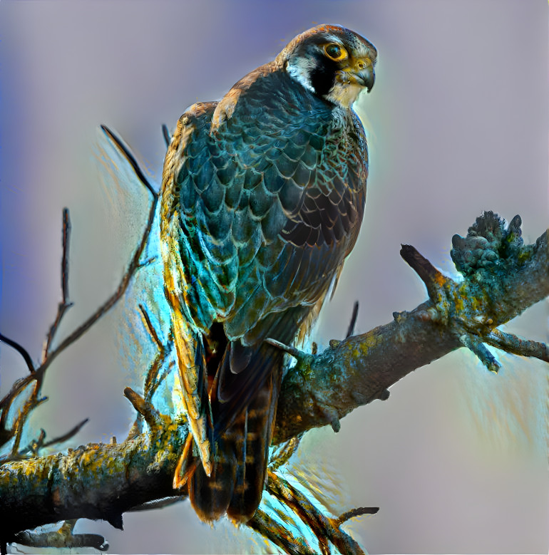 Bronze Peregrine Falcon