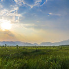 Tranquil sunrise over lush green field with lone figure