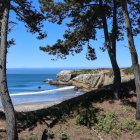 Vibrant coastal landscape painting with flora, trees, cliffs, and sailboat