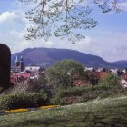 Colorful Village Scene with Blooming Flowers and Church Spires