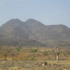 Sparse Vegetation and Rolling Hills in Serene Desert Landscape