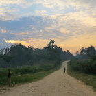 Savannah sunrise: elephants by tranquil dirt road