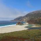 Tranquil beach scene with green foliage, red flowers, sandy shore, waves, blue sky