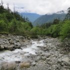 Tranquil mountain landscape with river, rocks, wildflowers, and misty peaks