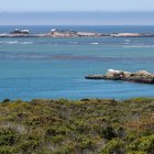 Rocky cliffs, islands, lighthouse, blue sky, greenery, purple flowers