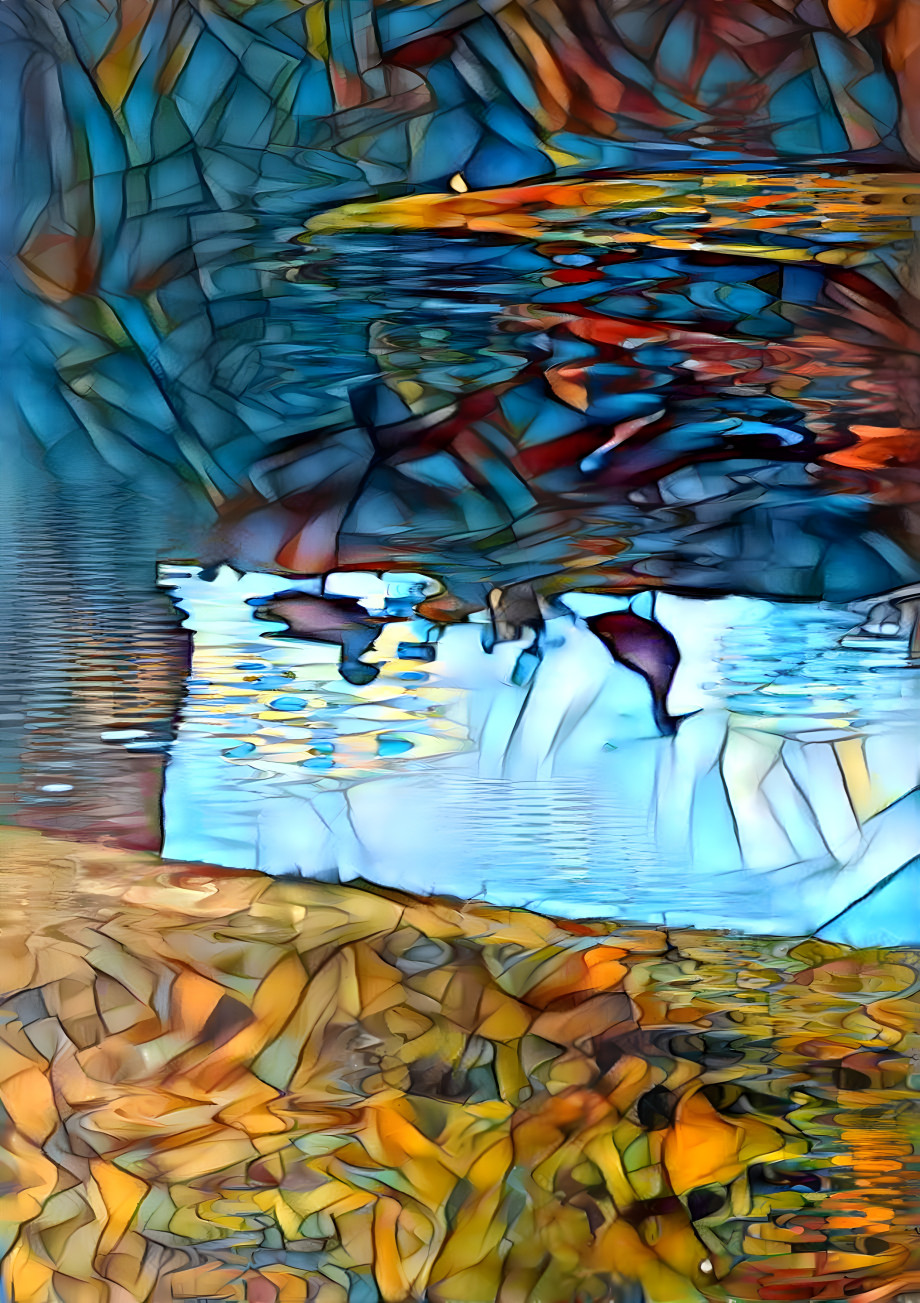 Reflecting Ducks