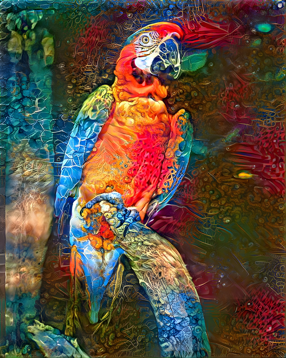 Parrot