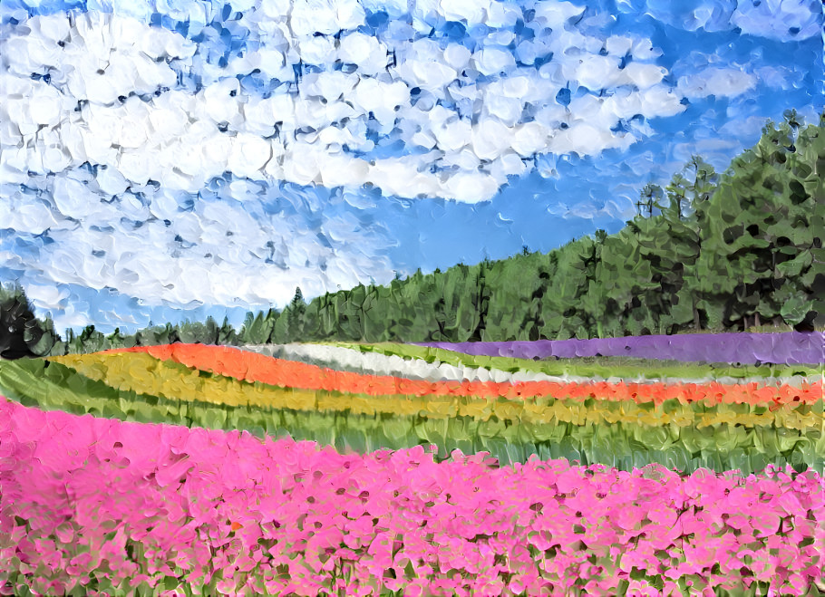 Field of Color